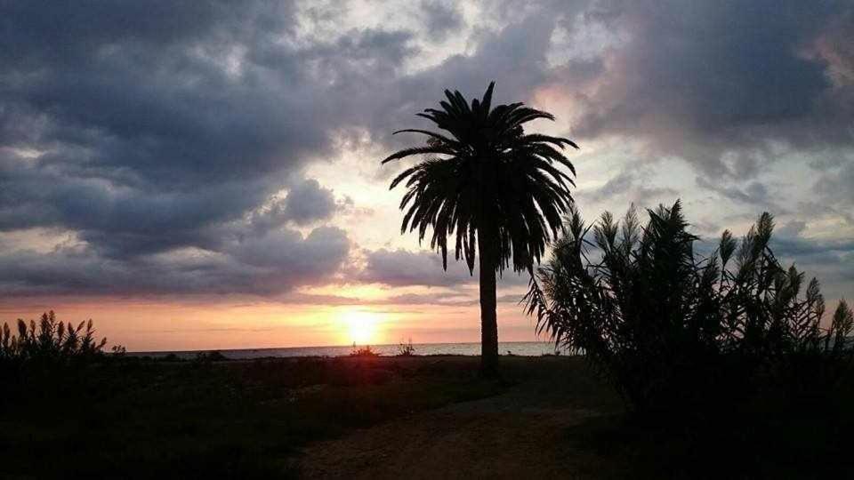 Mediterrania Marina Пуэтро-де-Сагунто Экстерьер фото